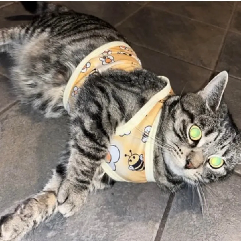 Alice & Miko's Adventurers in Wonderland Pet Dog Cat T-Shirts