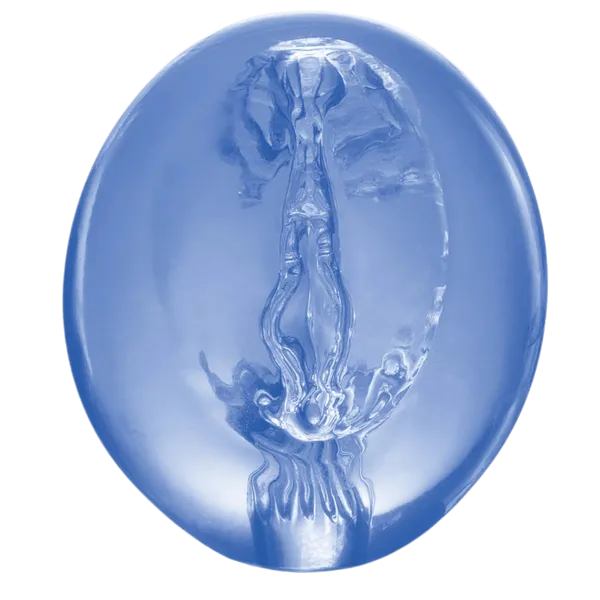 Pocket Jelly Masturbator 3.5
