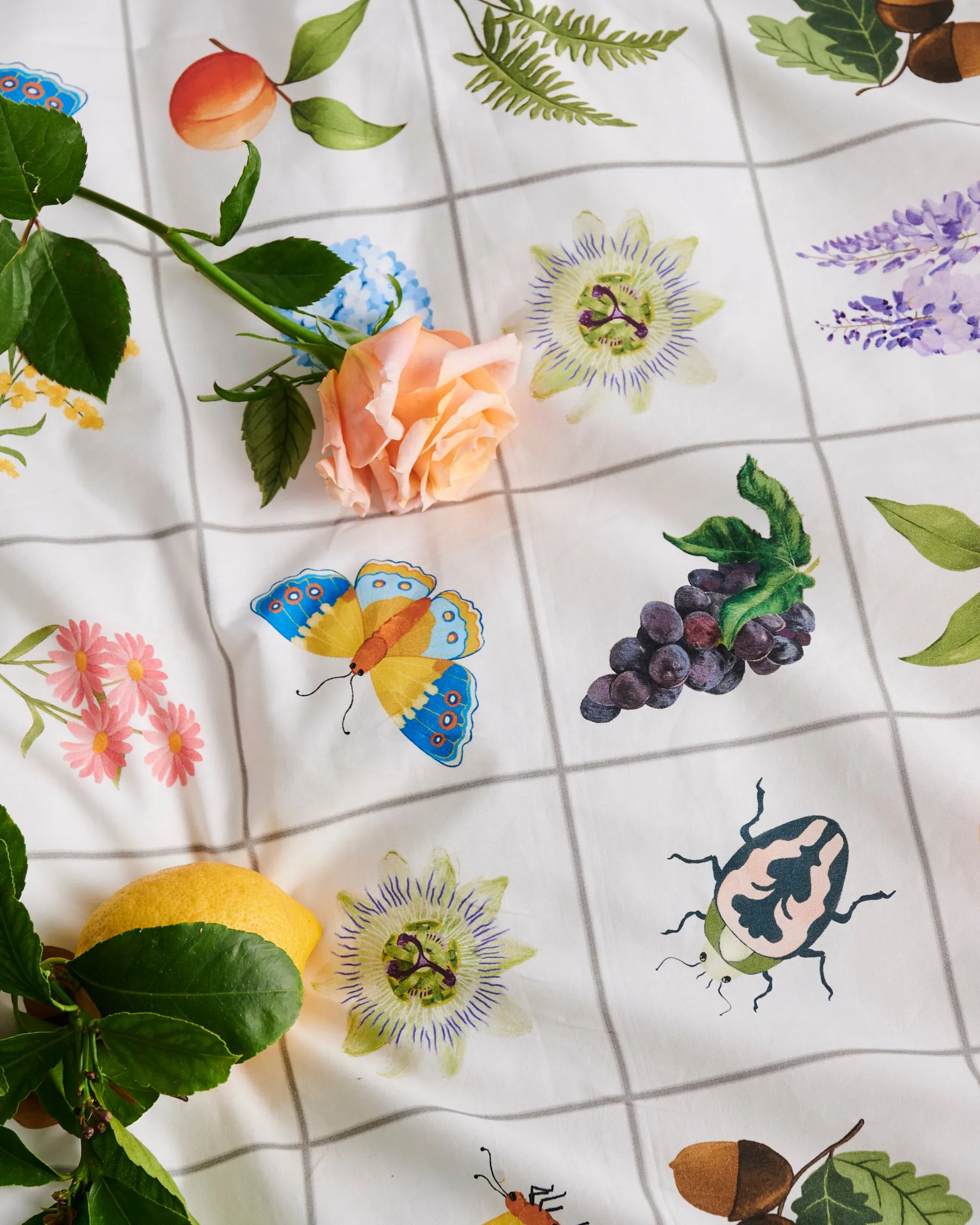 Prairie Organic Cotton European Pillowcases