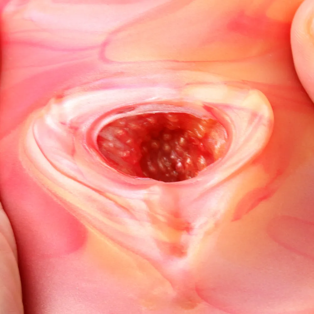Realistic Vaginal Pussy Male Masturbator - Silicone Soft Penis Masturbation Sex Toy for Men