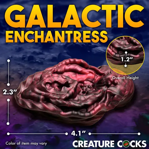 Xeno Pussy Grinder Creature Cocks Masturbator by XR